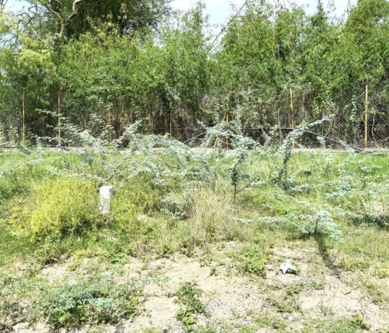 Plots for sale in Kundanpally Secunderabad