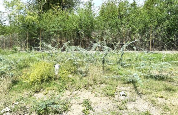 Plots for sale in Kundanpally Secunderabad