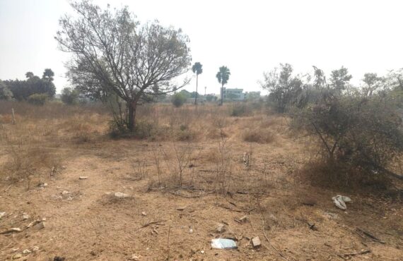 Residential Land for Sale in Mandaipalle