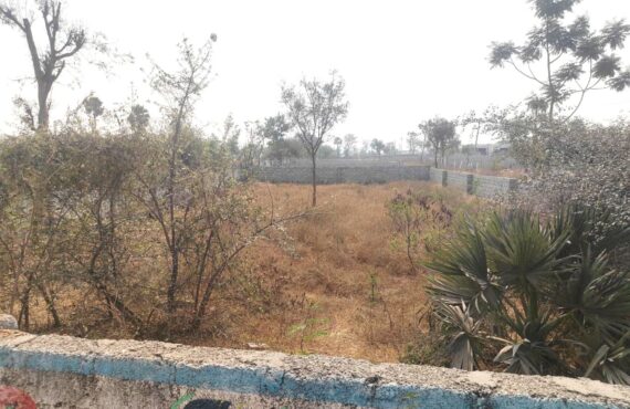 Residential Land for Sale in Mandaipalle