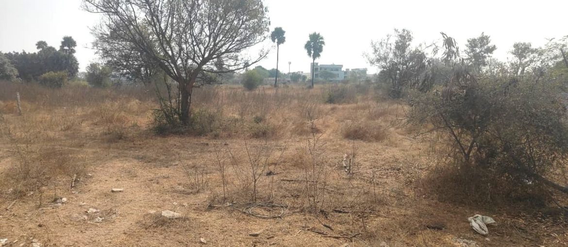 Residential Land for Sale in Mandaipalle
