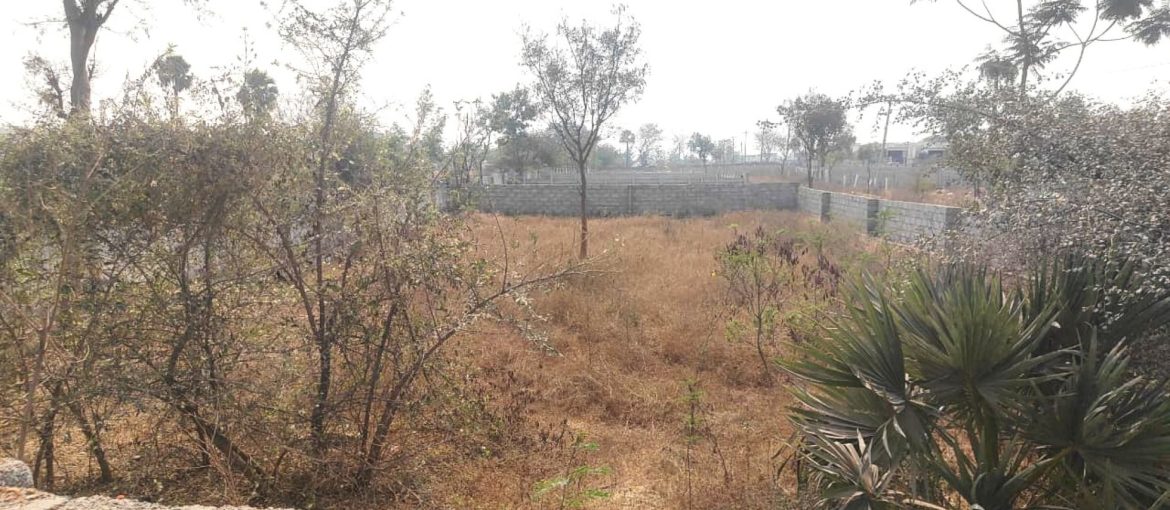 Residential Land for Sale in Mandaipalle
